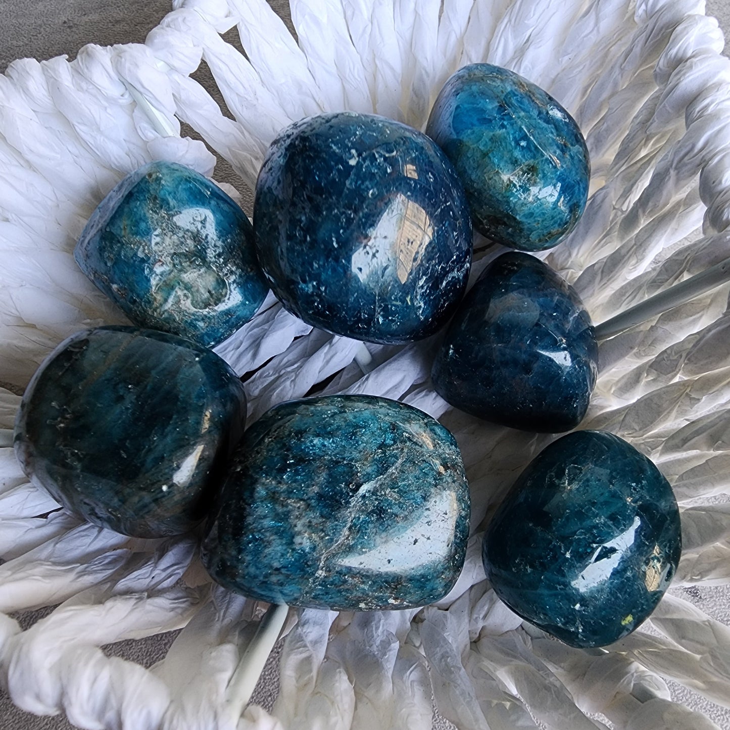Blue Apatite | Tumble - Small