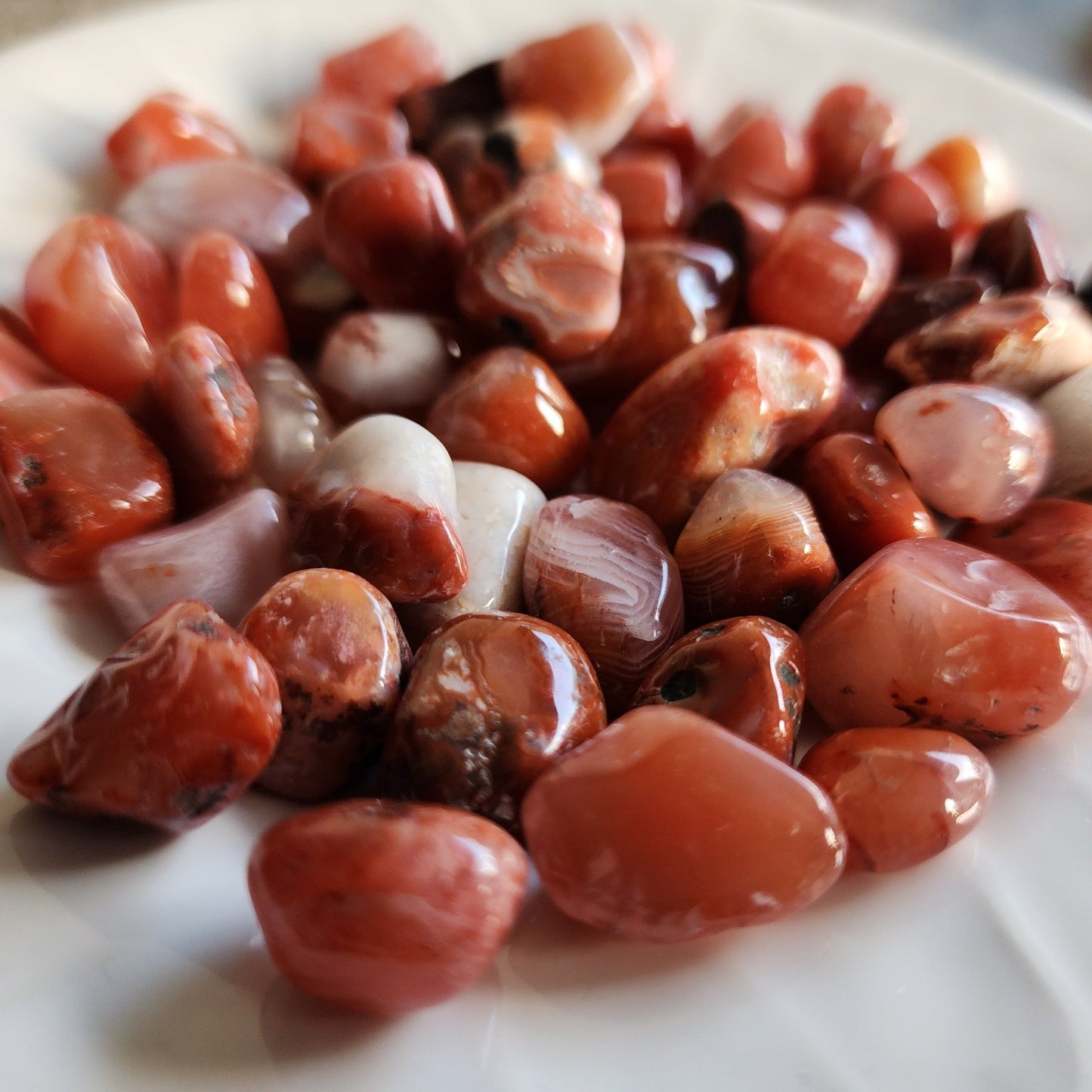 Carnelian | Chips (Large) - 50g or 100g