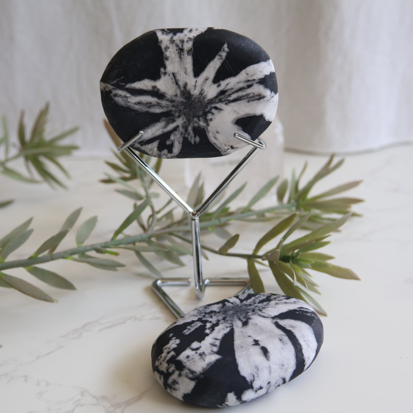 chrysanthemum stone palm stone crystal palm stone stonewild australia