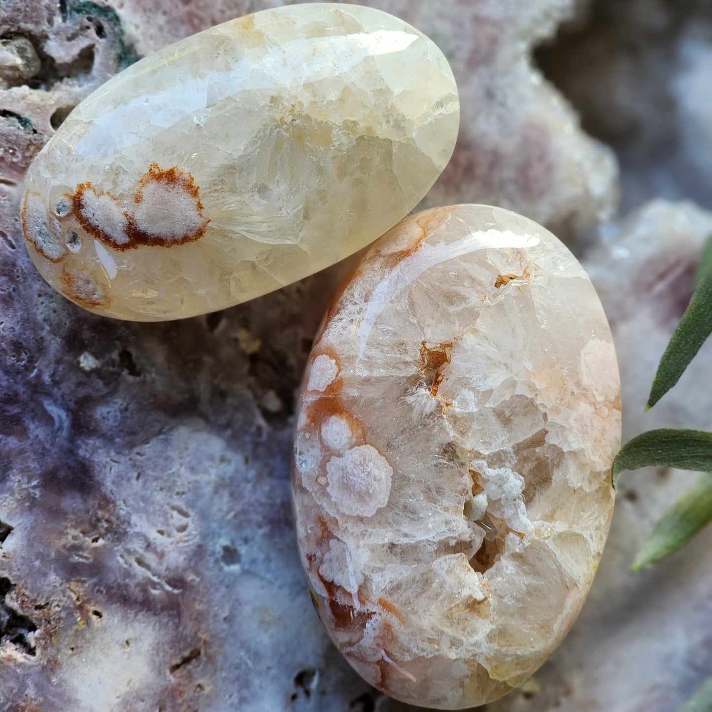 Flower Agate | Palm Stone