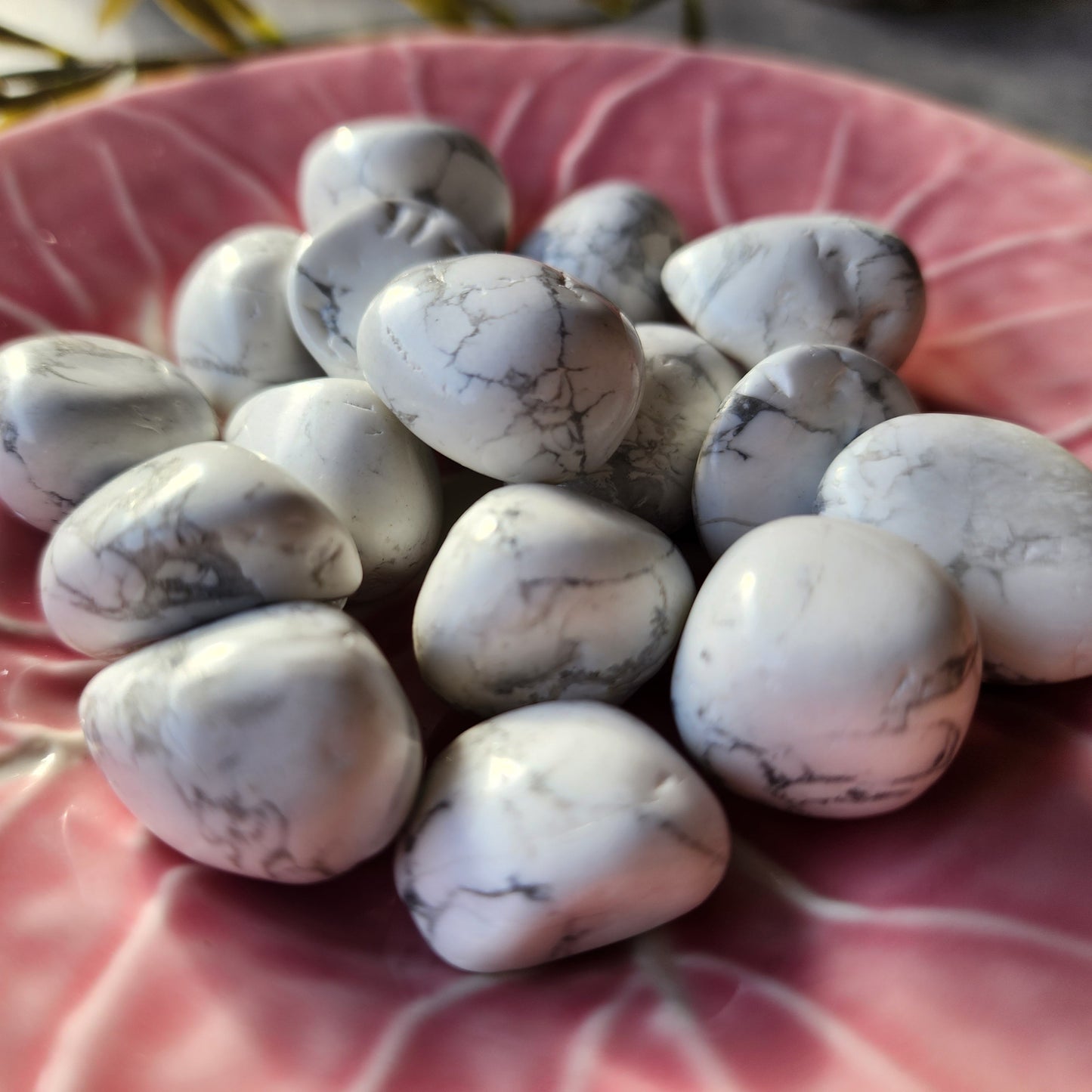 Howlite | Tumble - Small