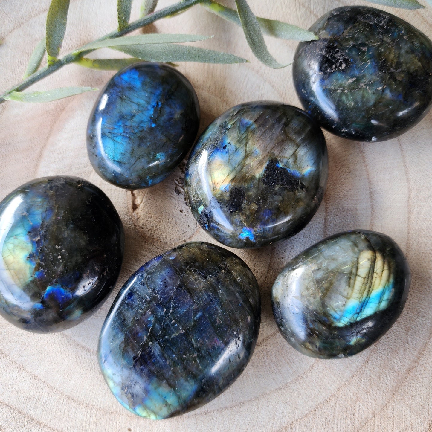 Labradorite | Palm Stone - Small