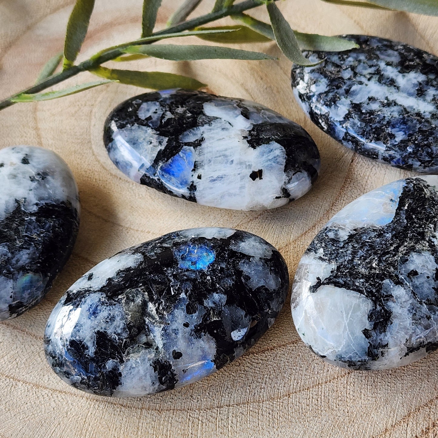 Rainbow Moonstone | Palm Stone - Small