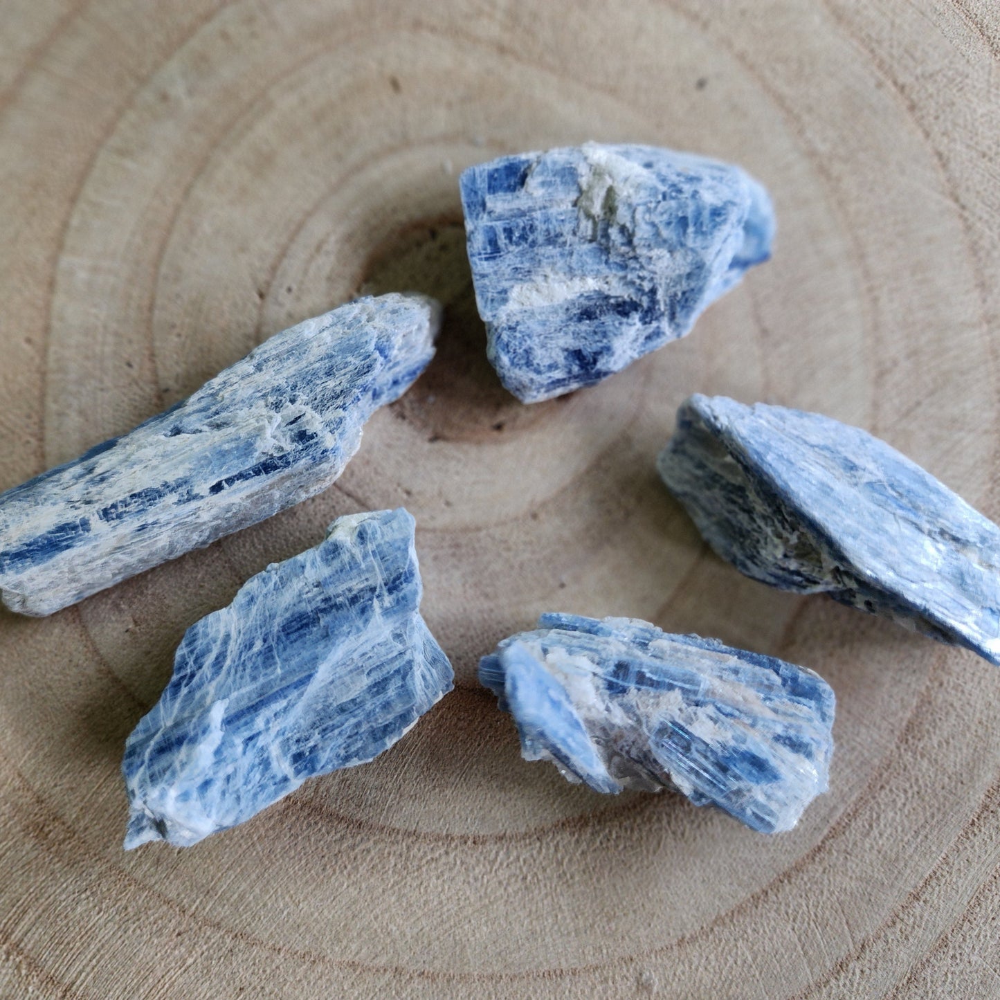 Blue Kyanite | Raw - Medium