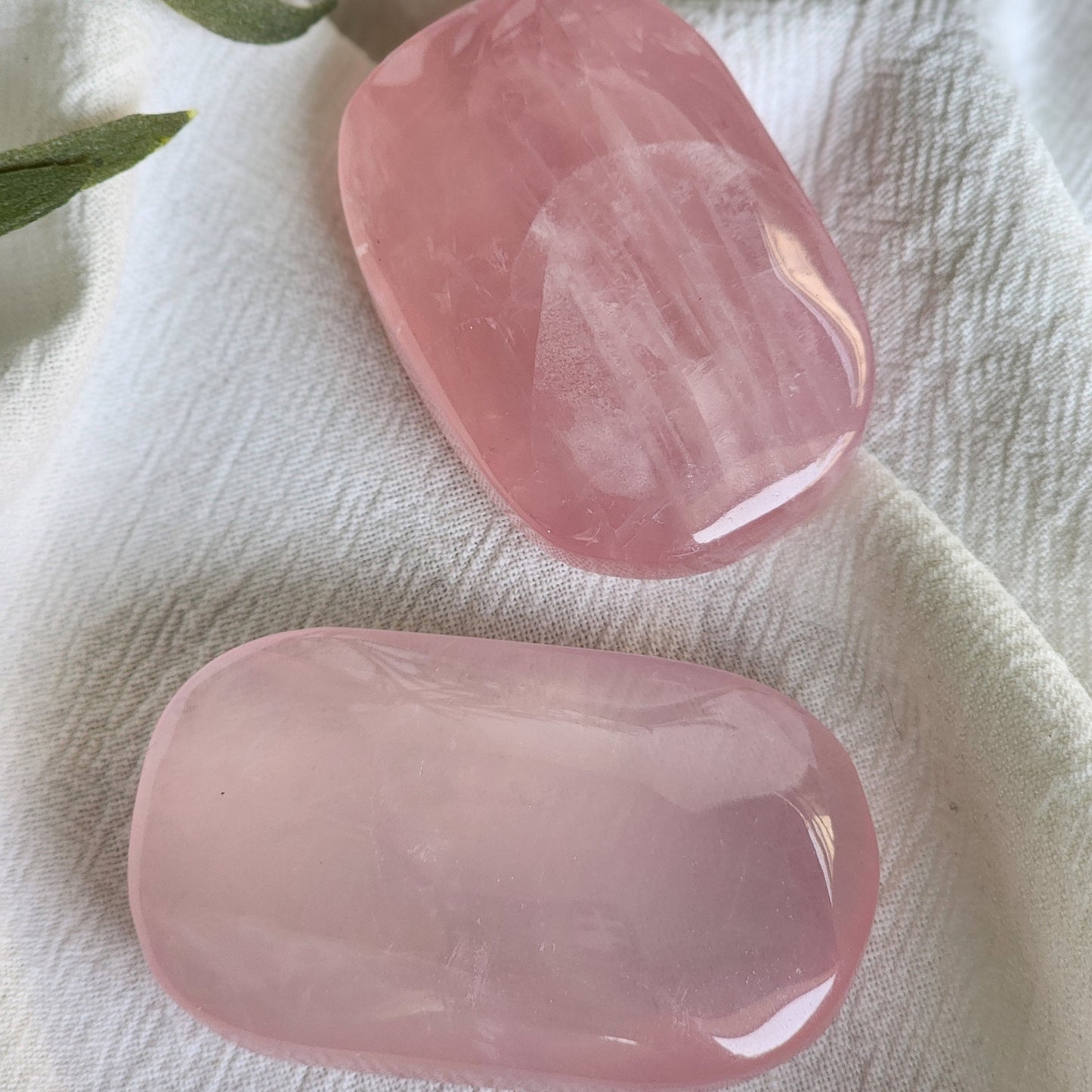 Rose Quartz | Palm Stone - Small