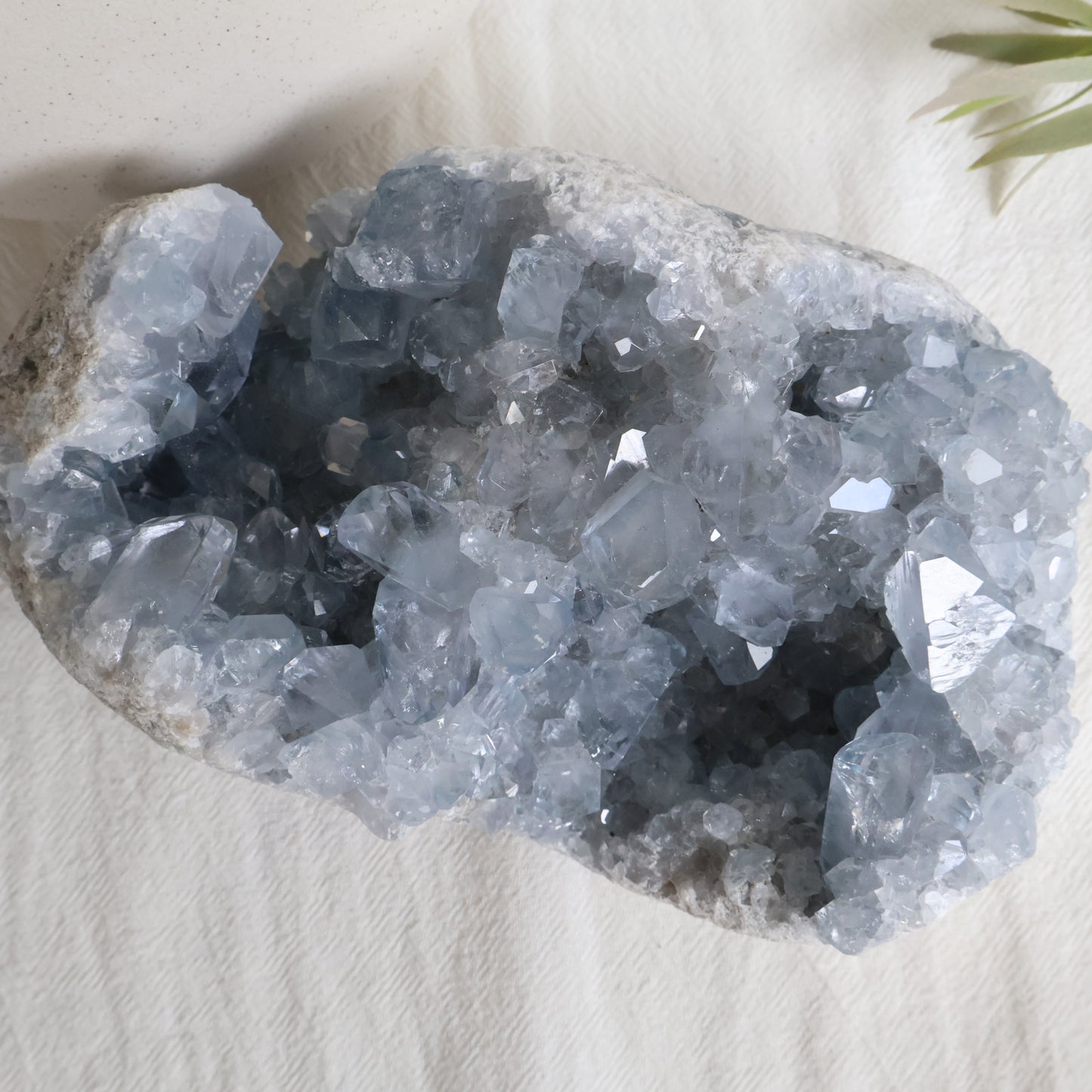 Celestite | Specimen - XXL