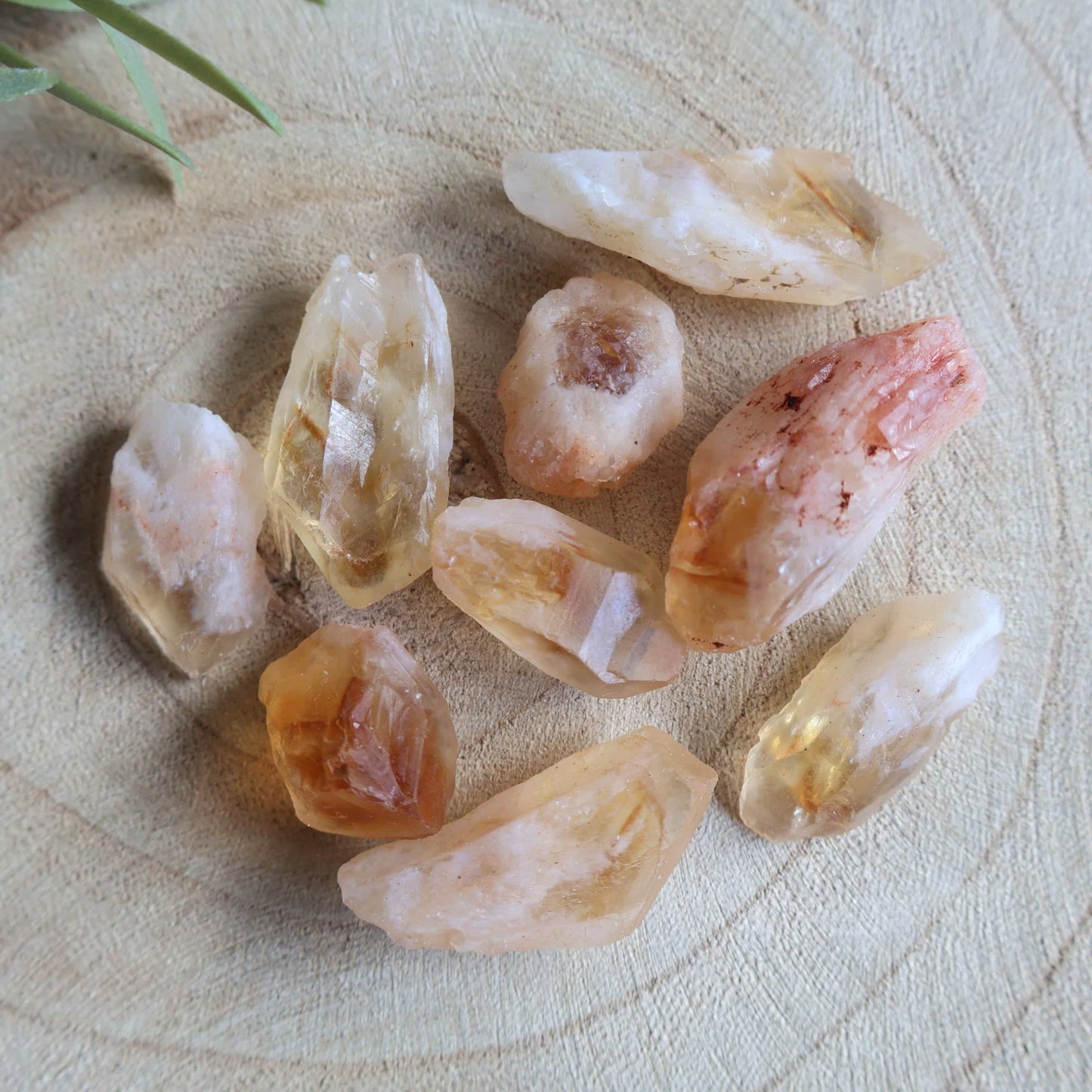 heat treated citrine mini crystal buds and chunks 50g pack abundance crystals stonewild australia