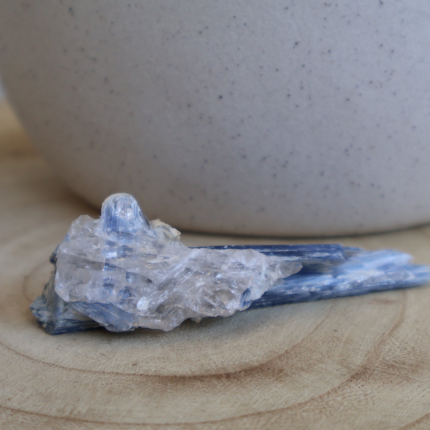 Blue Kyanite with Clear Quartz | Raw Blade (A)