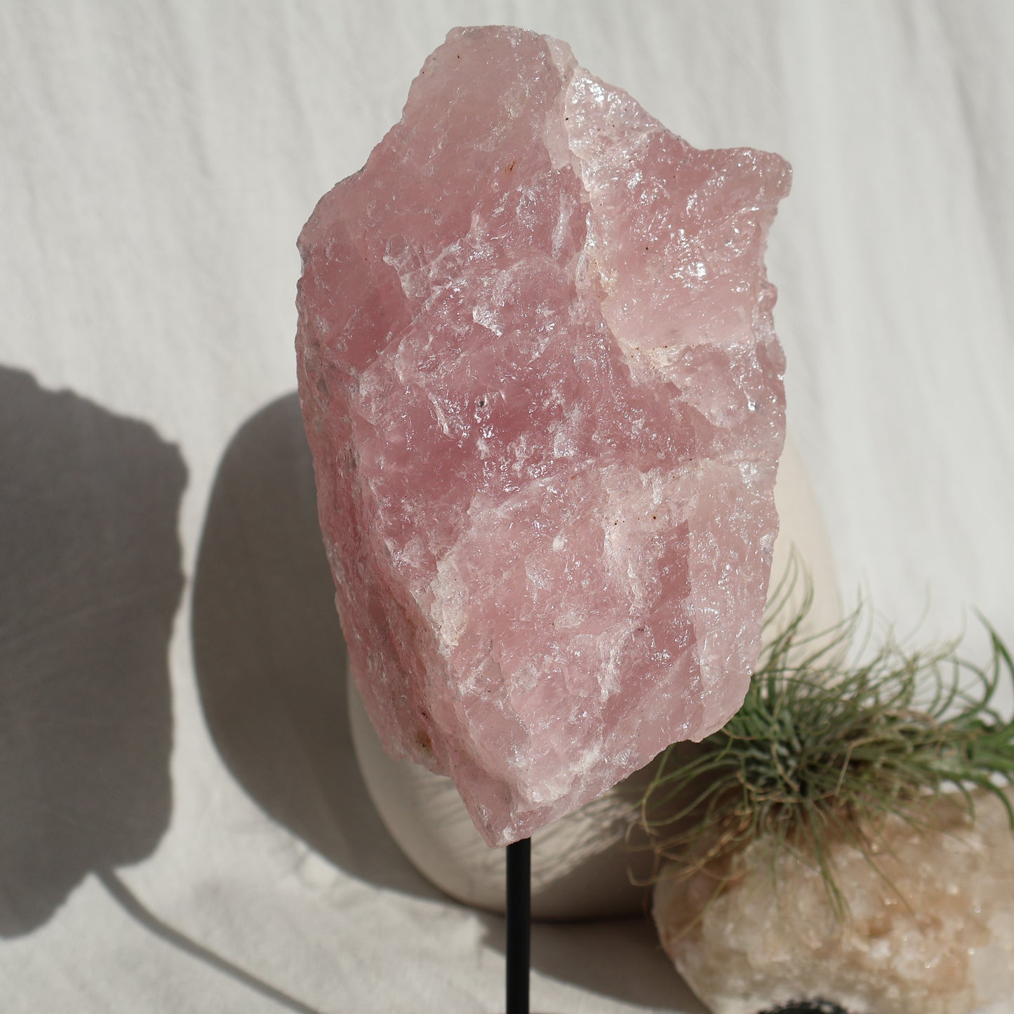 Rose Quartz | Rough on Stand (XL)