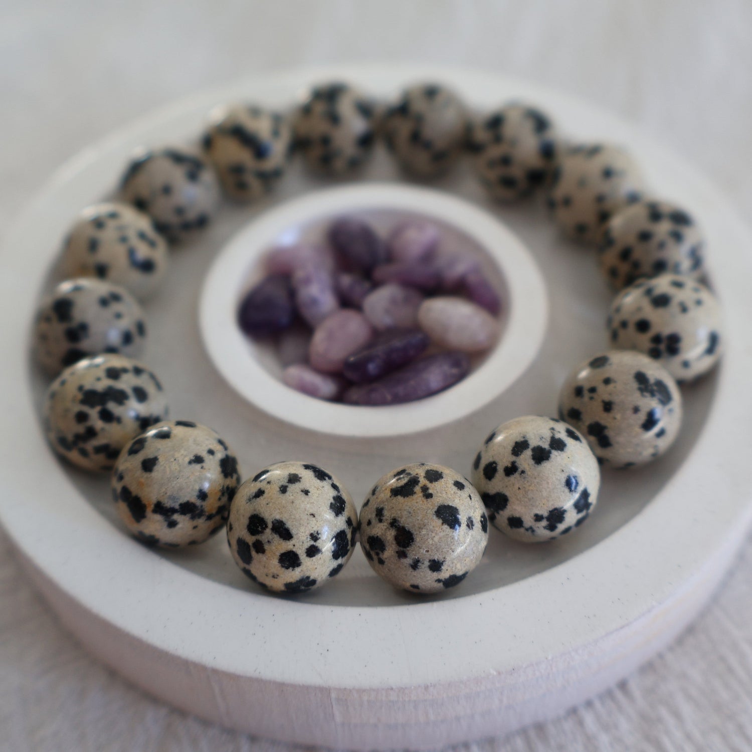 Dalmatian Jasper Collection Online - Stonewild AU