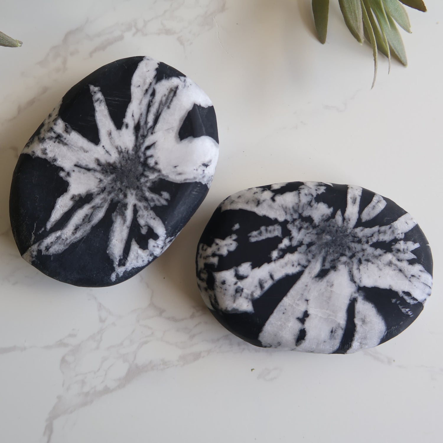Chrysanthemum Stone