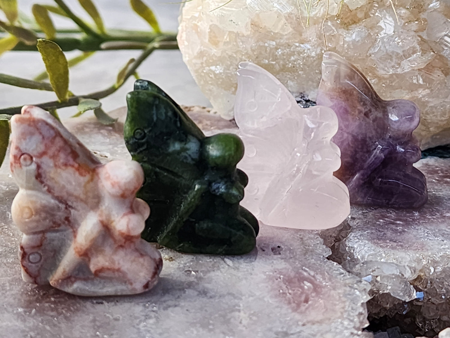 Red Vein Jasper Stone Collection - Stonewild