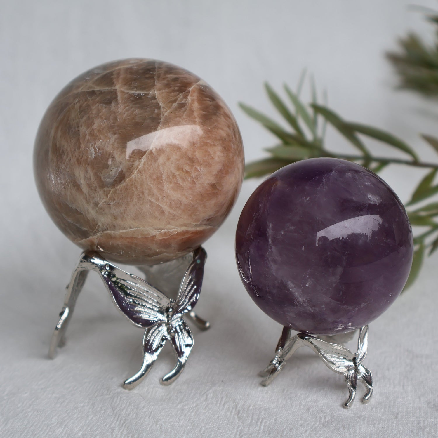 Premium Stands for Home Decor - Stonewild