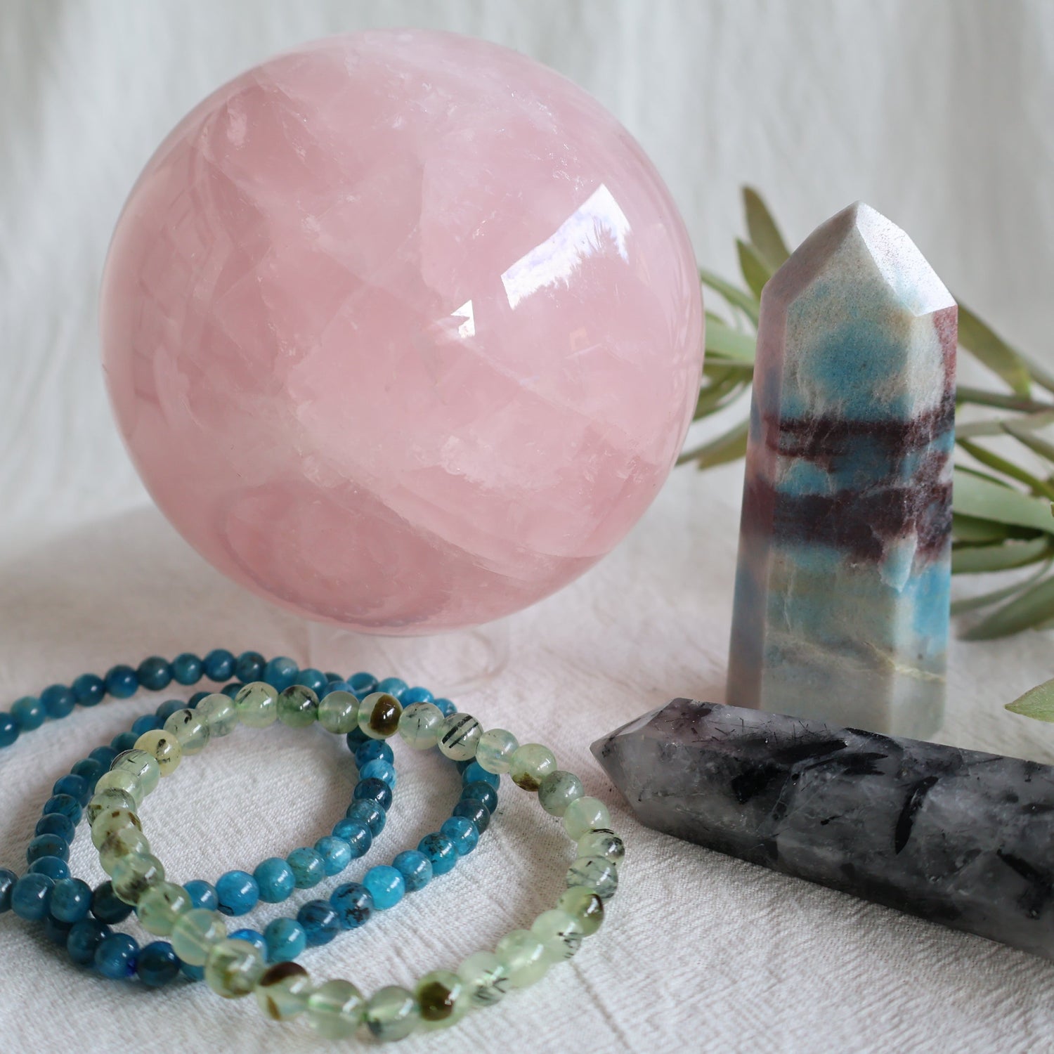 Explore our New Arrivals
