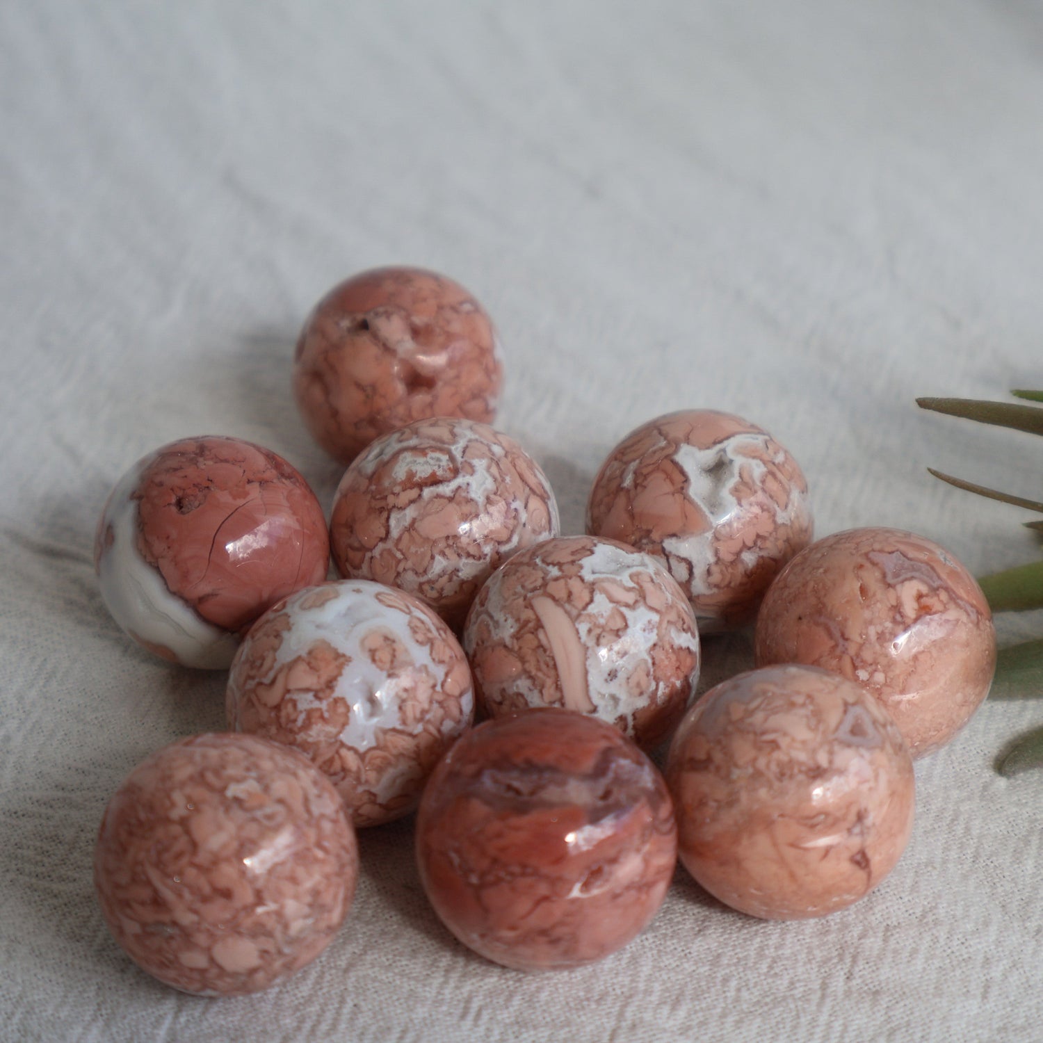 Jasper Crystals & Jewelry Stones - Stonewild