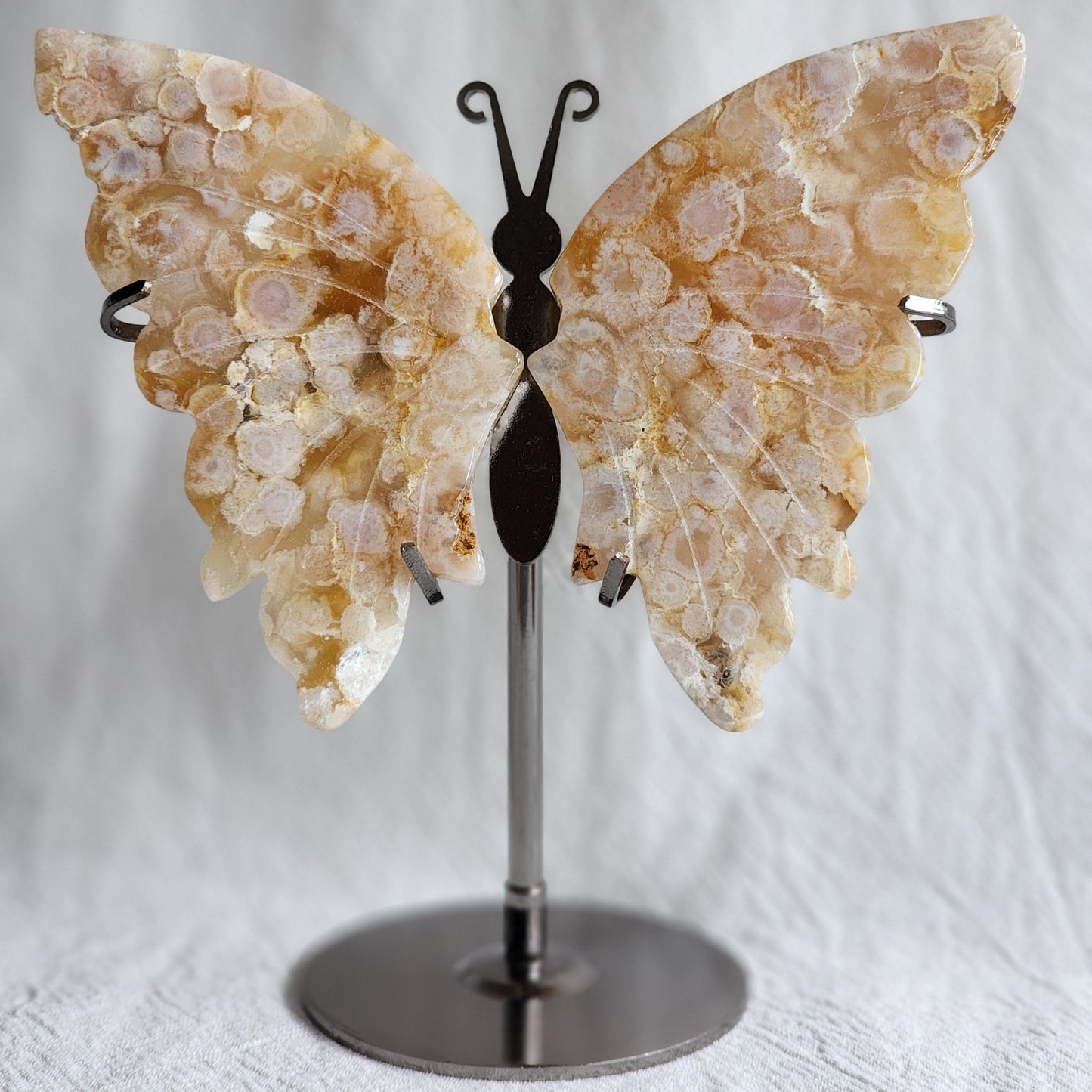 Flower Agate | Butterfly Wings on Stand