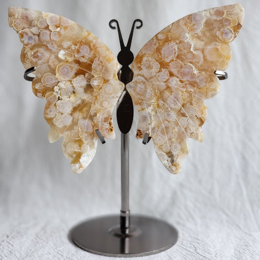 Flower Agate | Butterfly Wings on Stand