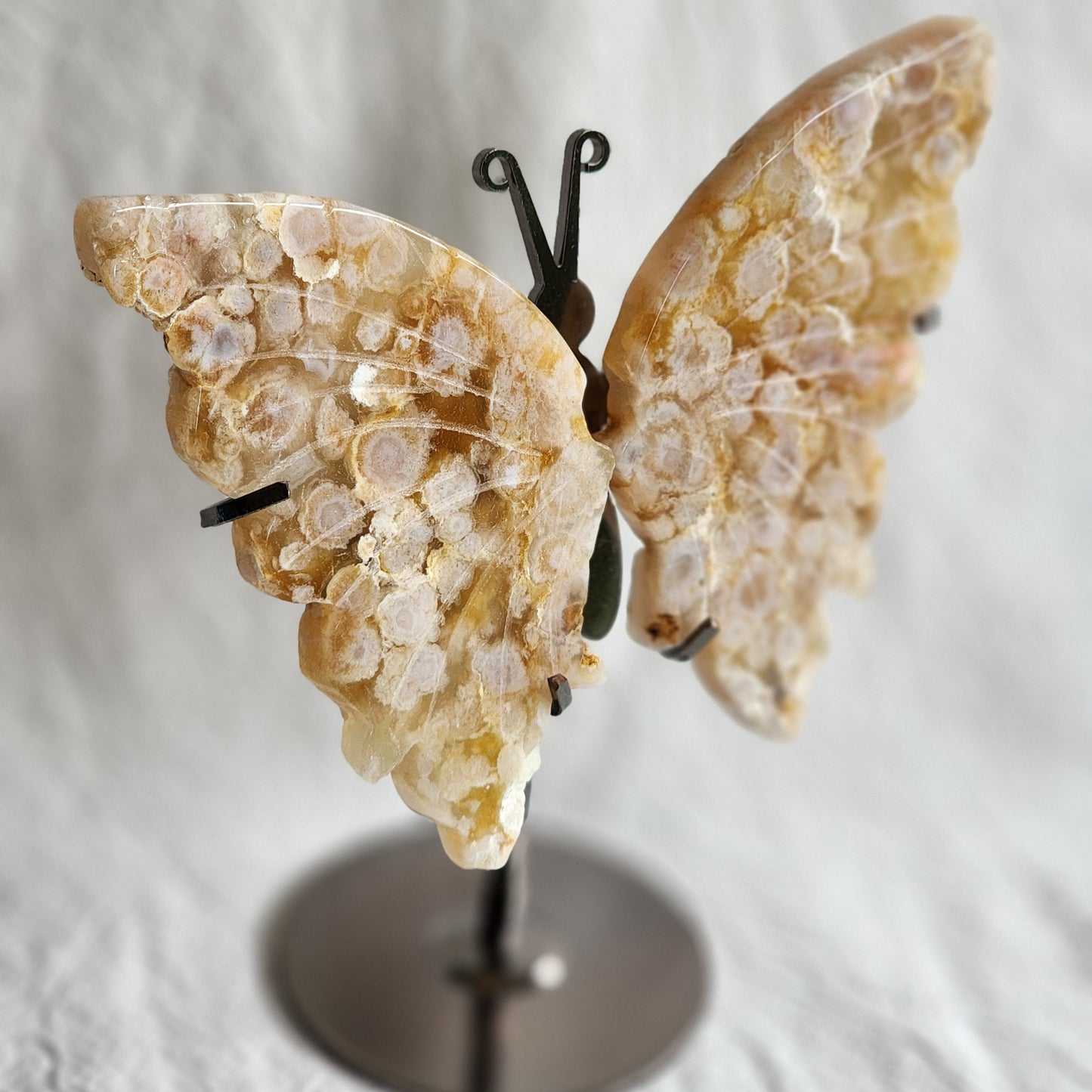 Flower Agate | Butterfly Wings on Stand