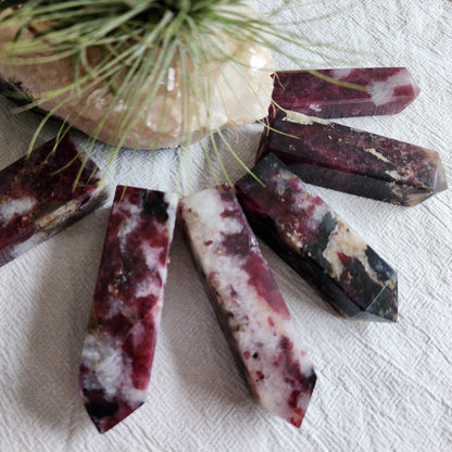 Eudialyte | Point - Medium