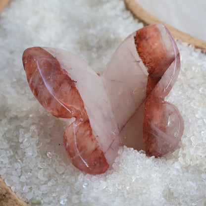 Crystal butterfly carvings available in Sodalite, Fire Quartz, Dream Amethyst, Red Jasper, Dragon Bloodstone, Tiger's Eye, Golden Healer, Fluorite, Yellow Calcite and Crazy Lace Agate.