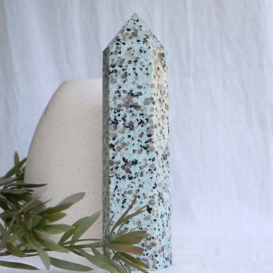 Kiwi Jasper | Tower - XXL