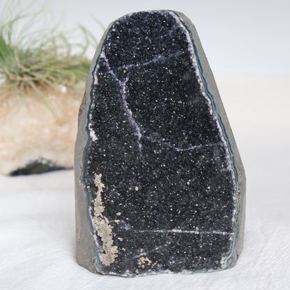 Black Amethyst | Druzy Cut Base