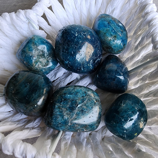 Blue Apatite | Tumble - Small