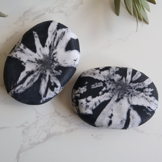 chrysanthemum stone palm stone crystal palm stone stonewild australia