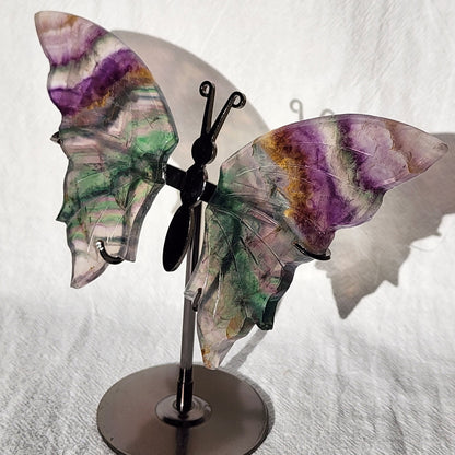 Fluorite | Butterfly Wings on Stand