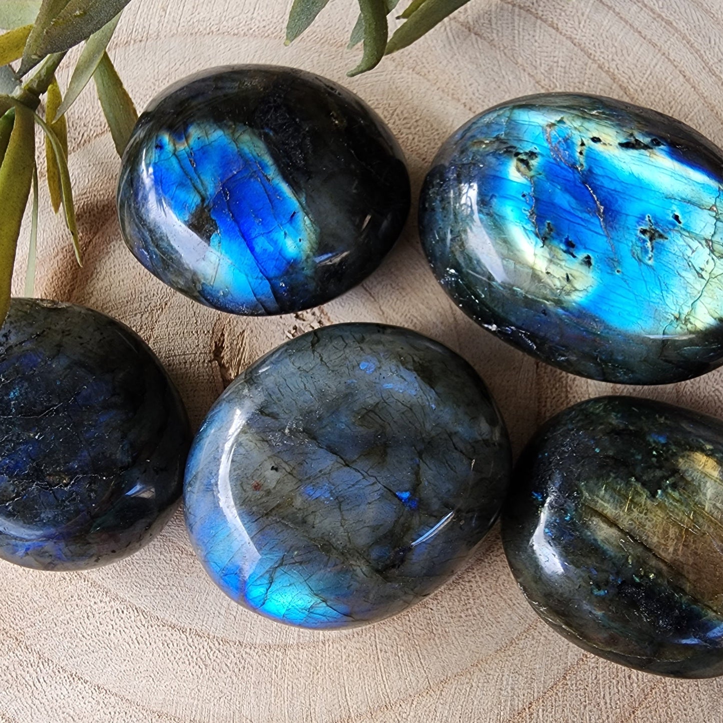 Labradorite | Palm Stone
