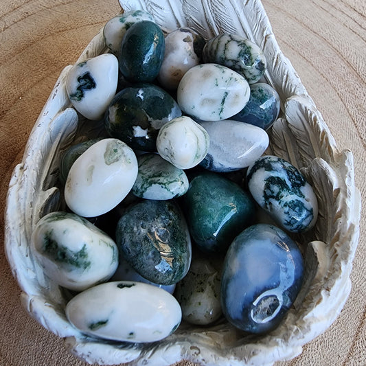 Moss Agate | Tumbles - Mini (3 pack)