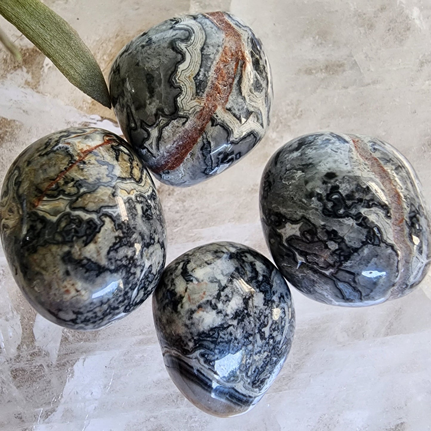 Picasso Jasper | Tumble