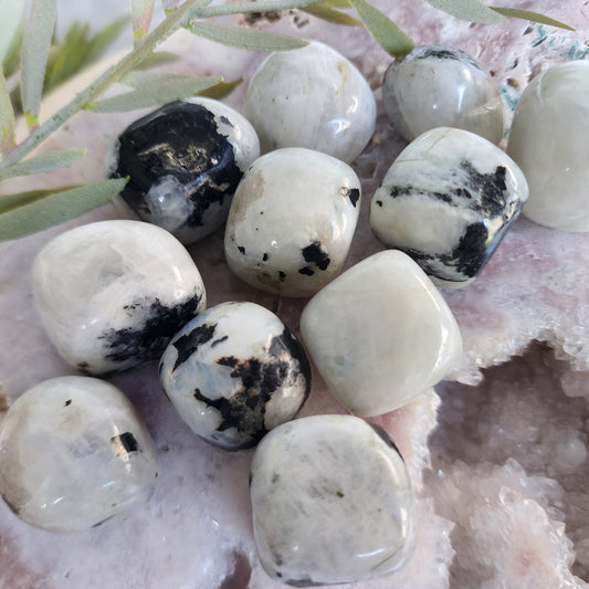 Rainbow Moonstone | Tumble