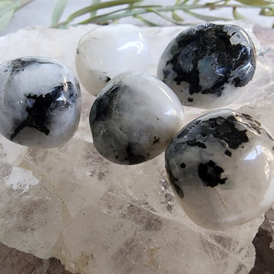 Rainbow Moonstone | Tumble - Small
