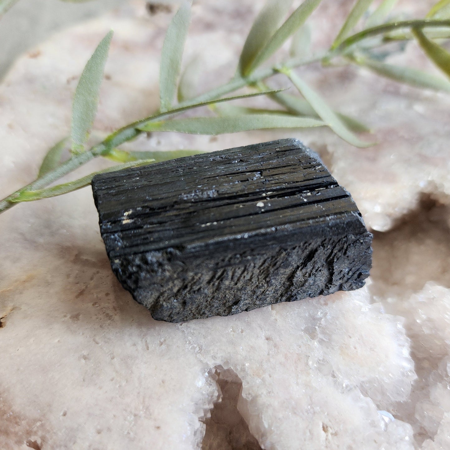 Black Tourmaline | Raw - Large
