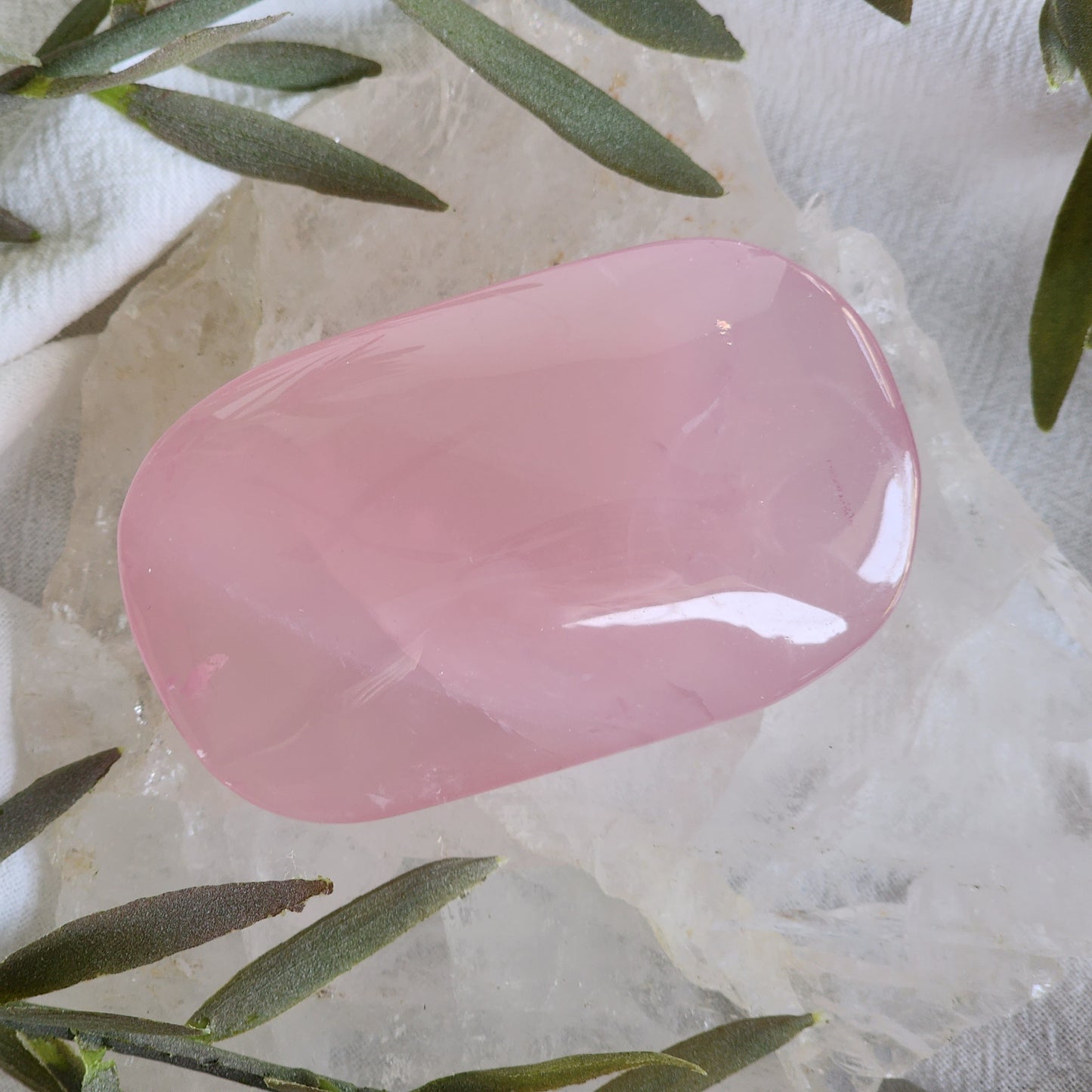 Rose Quartz | Palm Stone - Large