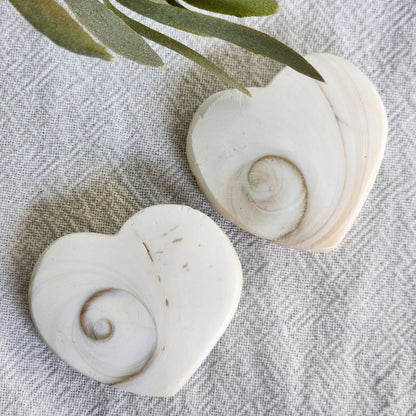 Shiva Shell | Heart