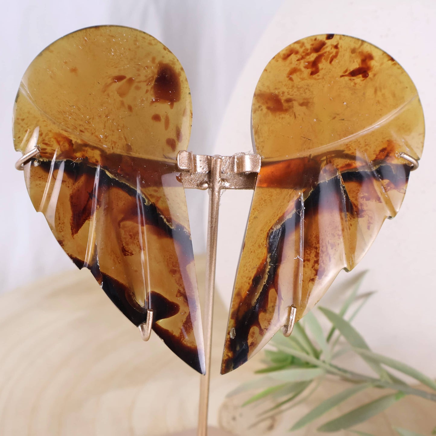 natural amber wings on stand