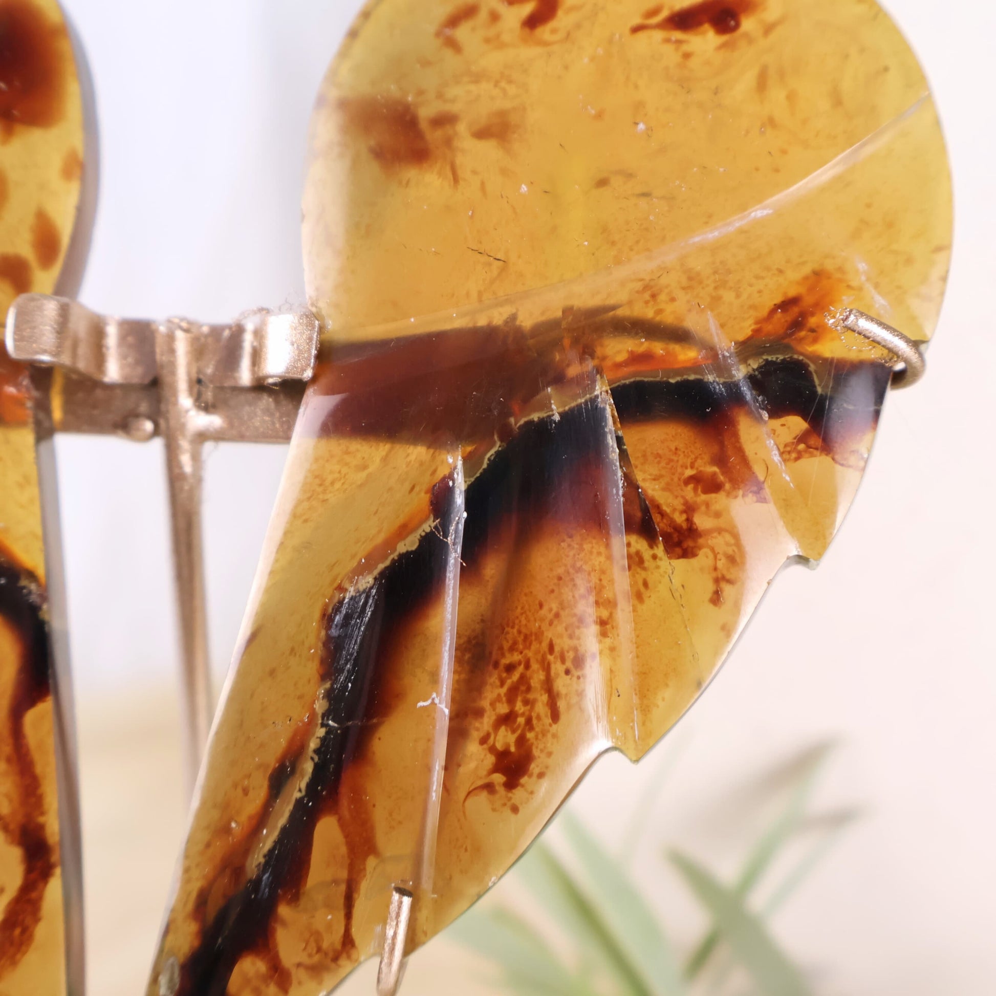 natural amber wings on stand