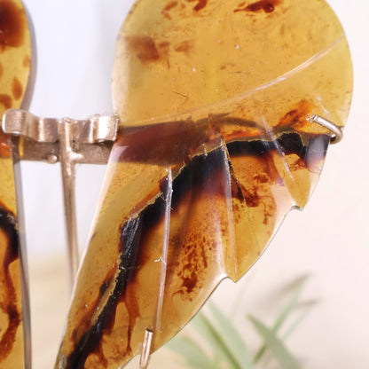 natural amber wings on stand