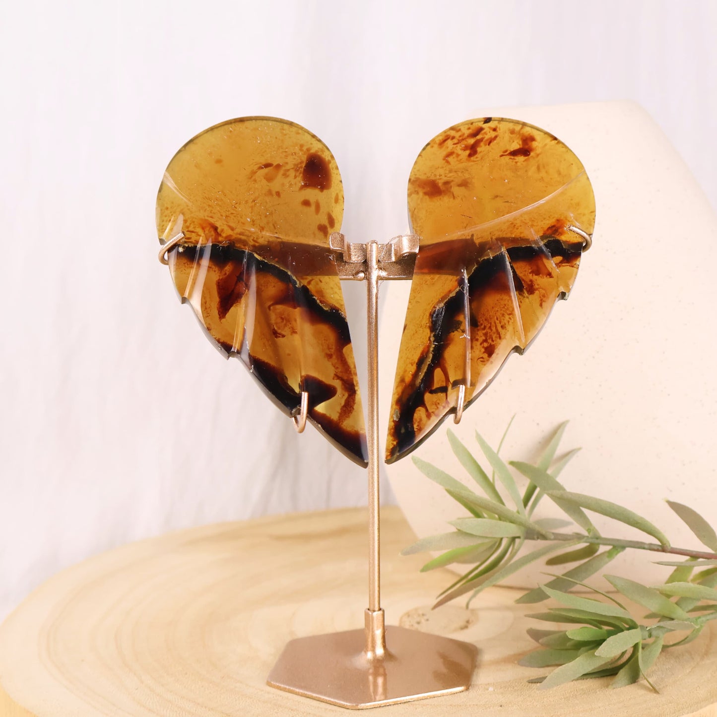 natural amber wings on stand