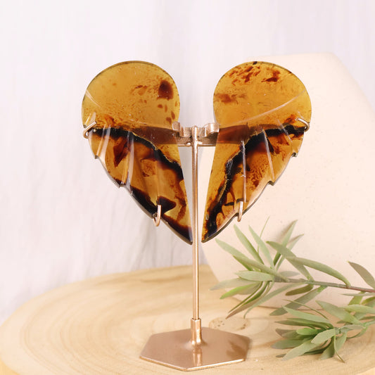 natural amber wings on stand
