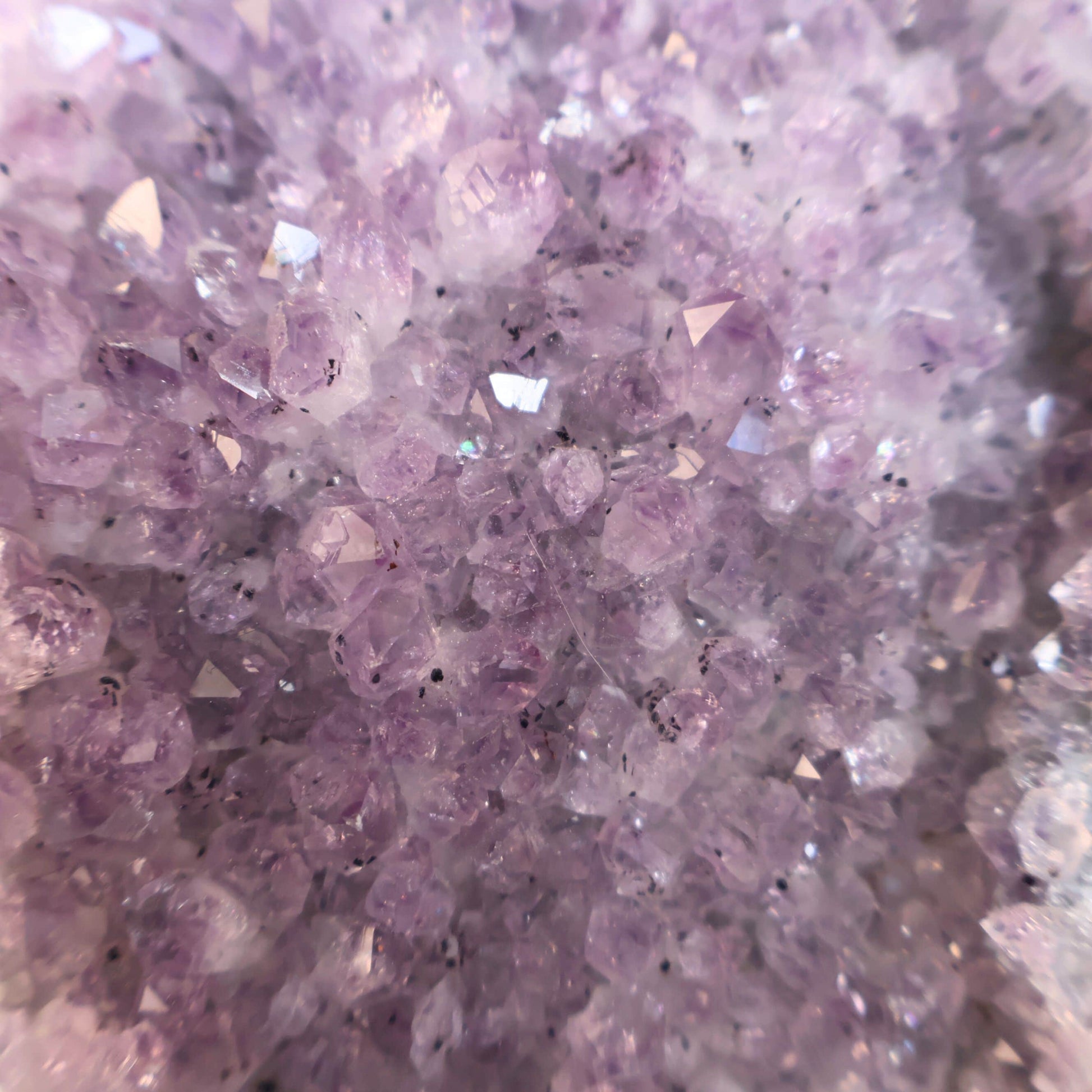 Amethyst druzy cut base crystal natural purple quartz – Stonewild