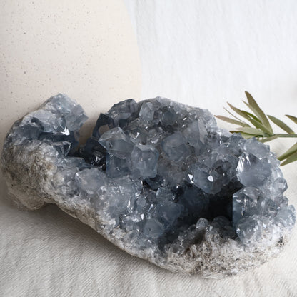 Celestite | Specimen - XXL