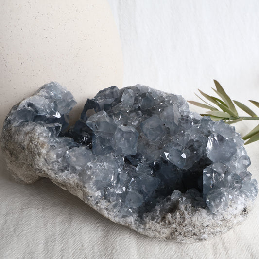 Celestite | Specimen - XXL