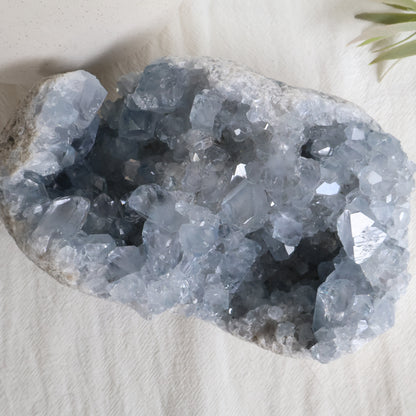 Celestite | Specimen - XXL