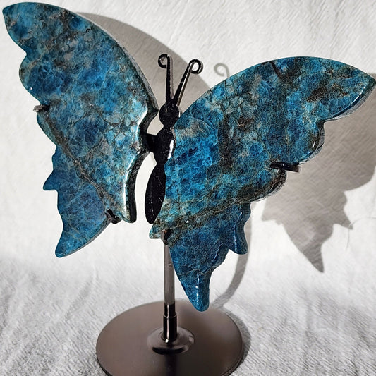 Blue Apatite | Butterfly Wings on Stand
