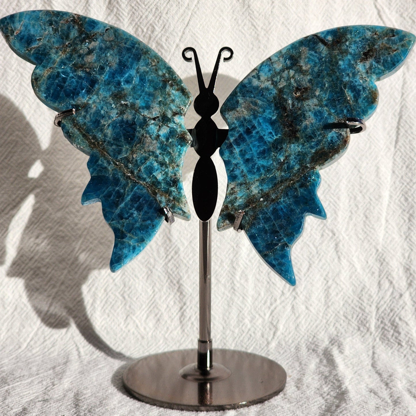 Blue Apatite | Butterfly Wings on Stand