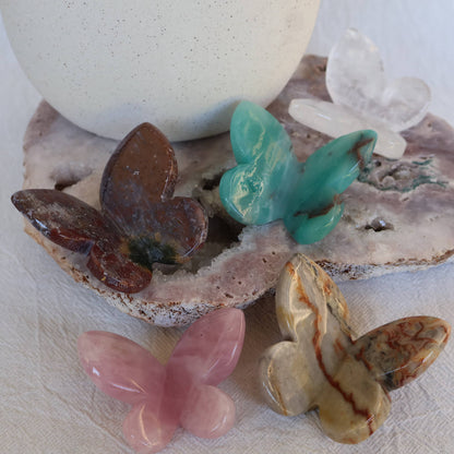 beautiful butterfly carvings