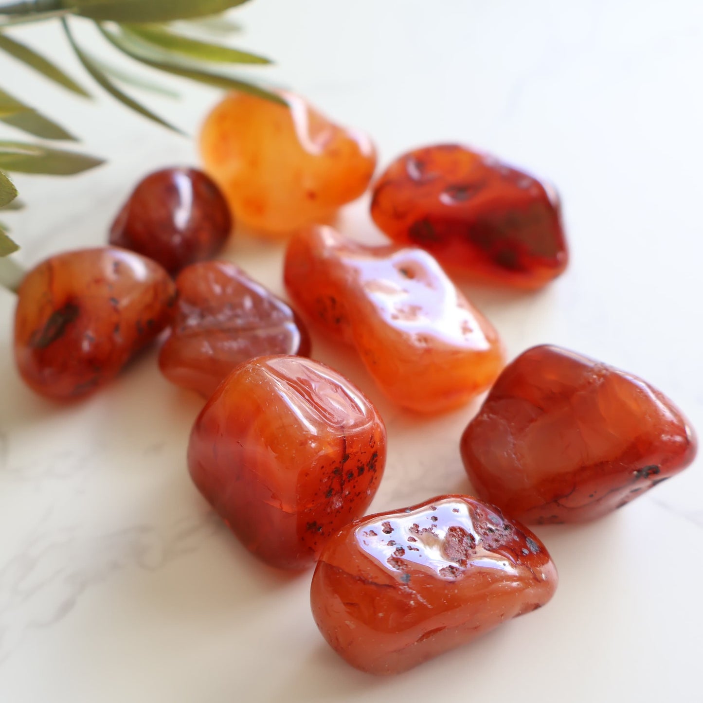 carnelian tumble stone natural orange tumble stone stonewild australia